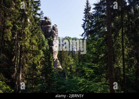 Sandsteintürme und Wald von Adrspach Rocks, Tschechische Republik Stockfoto