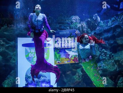 Kuala Lumpur, Malaysia. 08.. Juni 2022. Taucher, die als Meerjungfrauen gekleidet sind, treten im Hauptaquarium von Aquaria KLCC auf, um den Weltmeertag in Kuala Lumpur zu feiern. Kredit: SOPA Images Limited/Alamy Live Nachrichten Stockfoto