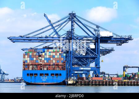 Das Containerschiff CSCL Uranus dockte im Hafen von Felixstowe Suffolk UK an Stockfoto