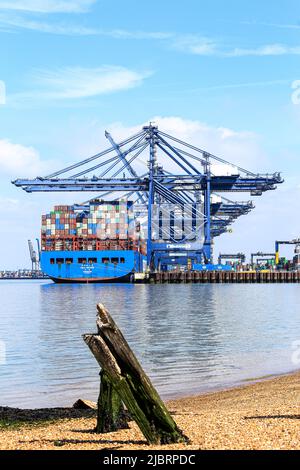 Das Containerschiff CSCL Uranus dockte im Hafen von Felixstowe Suffolk UK an Stockfoto