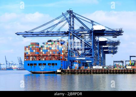 Das Containerschiff CSCL Uranus dockte im Hafen von Felixstowe Suffolk UK an Stockfoto