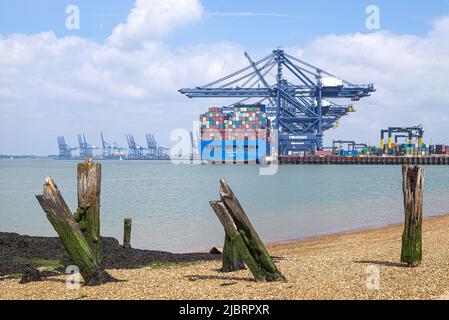 Das Containerschiff CSCL Uranus dockte im Hafen von Felixstowe Suffolk UK an Stockfoto