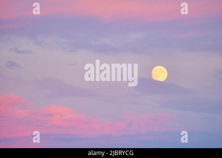 Vollmond, der am Frühlingsabend mit blauem und rosafarbenem Himmel aufgeht. Stockfoto
