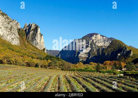 Frankreich, Drome, Saou Wald und Dorf Stockfoto