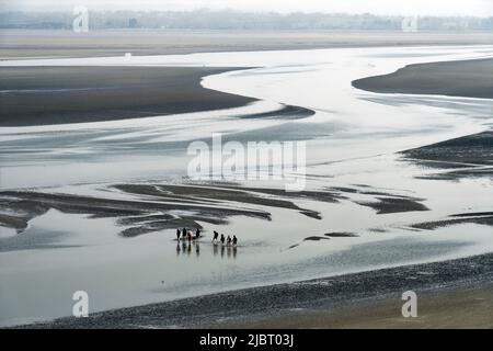 Frankreich, Manche, Mont Saint Michel Bay von der UNESCO zum Weltkulturerbe erklärt, Mont Saint Michel, Gruppe über die Bucht von Mont-Saint-Michel Stockfoto