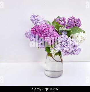 Flieder Blumenstrauß in Glasvase auf weißem Hintergrund. Stockfoto