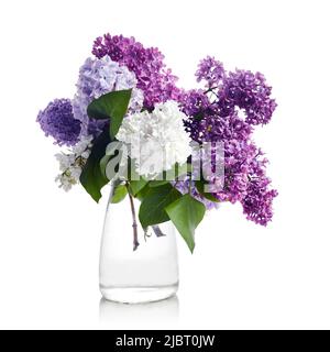 Flieder Blumenstrauß in Glasvase isoliert auf weißem Hintergrund. Stockfoto