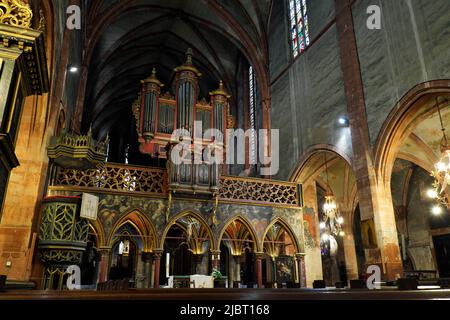 Frankreich, Bas Rhin, Straßburg, Altstadt, die von der UNESCO zum Weltkulturerbe erklärt wurde, die evangelische Kirche Saint Pierre le Jeune, die Rood-Leinwand und die Orgel Stockfoto