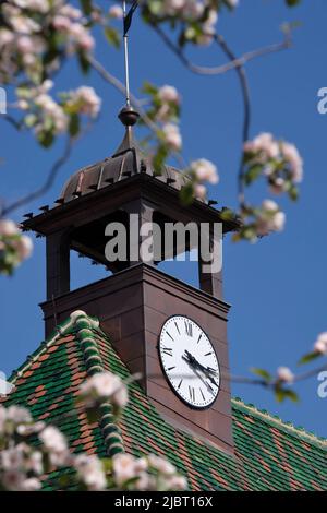 Frankreich, Haut Rhin, Colmar, Koifhus oder alte Bräuche, Dach, Gipfel Stockfoto