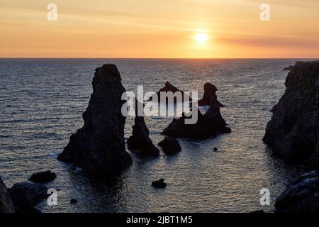 Frankreich, Morbihan, Belle Ile en mer, wilde Küste, Bangor, Les Aiguilles de Port Coton (Nadeln von Port-Coton) bei Sonnenuntergang Stockfoto