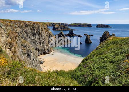 Frankreich, Morbihan, Belle Ile en mer, wilde Küste, Bangor, Strand in Port Goulphar und pointe du Talut Stockfoto