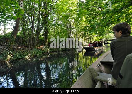 Frankreich, Haut Rhin, Colmar, Viertel Petite Venise, Bootsfahrt auf der Lauch Stockfoto