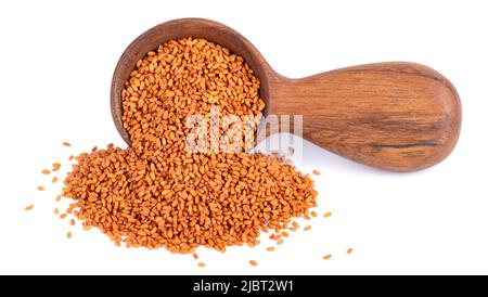 Camelina sativa Samen in Holzlöffel, isoliert auf weißem Hintergrund. Samen von Kamelina oder Falschflachs. Rohstoff für Kamelinaöl Stockfoto