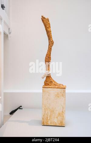 Frankreich, Paris, das Giacometti-Institut Stockfoto