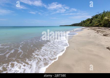 Costa Rica, Limon Provinz, Cahuita Nationalpark, der Strand Stockfoto