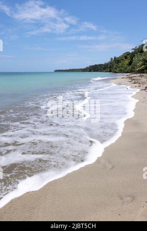 Costa Rica, Limon Provinz, Cahuita Nationalpark, der Strand Stockfoto