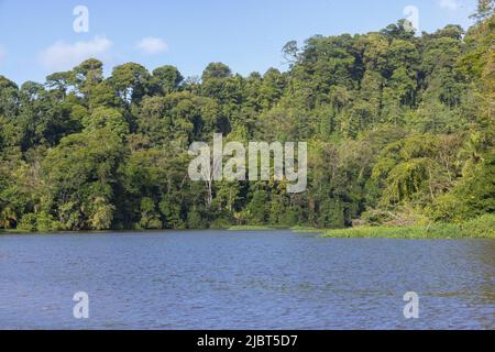 Costa Rica, Provinz Limon, Tortuguero-Nationalpark Stockfoto