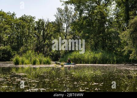 Frankreich, Bas Rhin, Strabourg, Naturschutzgebiet Rohrschollen, Inventarisierung der Wasserbohrmaschine im Brunnwasser Stockfoto