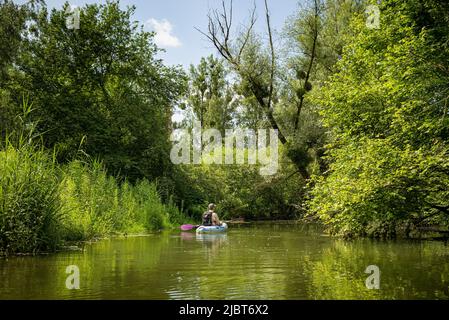 Frankreich, Bas Rhin, Strabourg, Naturschutzgebiet Rohrschollen, Inventarisierung der Wasserbohrmaschine im Brunnwasser Stockfoto