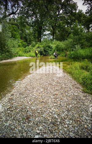 Frankreich, Bas Rhin, Strabourg, Naturschutzgebiet Rohrschollen, Inventar der Wasserbohrmaschine im restaurierten Kanal Stockfoto