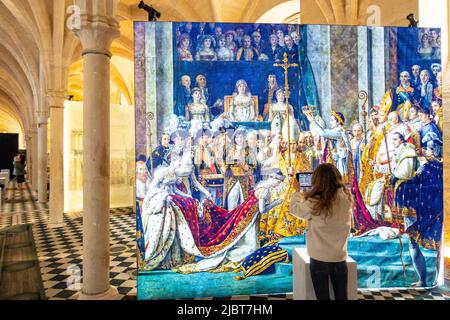 Frankreich, Paris, das Bernardinskollegium, die erhöhte Ausstellung: Notre Dame de Paris Stockfoto