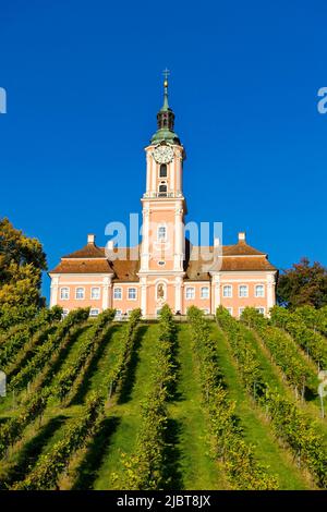 Deutschland, Baden Württemberg, Bodensee, Uhldingen-Mühlhofen, Birnau Wallfahrtskirche mit Weinberg Stockfoto