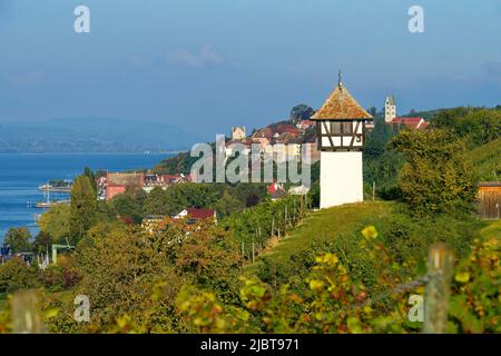 Deutschland, Baden-Württemberg, Bodensee, Meersburg, Weinberg und Winzerturm mit Meersburg im Hintergrund Stockfoto