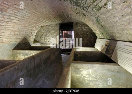 Frankreich, Jura, Dole, Geburtshaus von Louis Pasteur, Museum, Gerberei seines Vaters Stockfoto