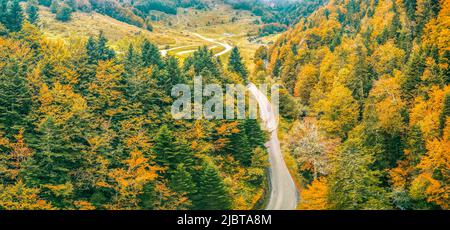 Frankreich, Pyrenees Atlantiques, die Straße nach Bious Artigues und der Wald im Herbst (Luftaufnahme) Stockfoto