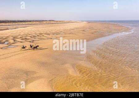 Frankreich, Somme, Le Hourdel, drei Reiter, die mit ihren Pferden auf den riesigen, von der Flut freigelegten Sandbänken spazieren (Luftaufnahme) Stockfoto