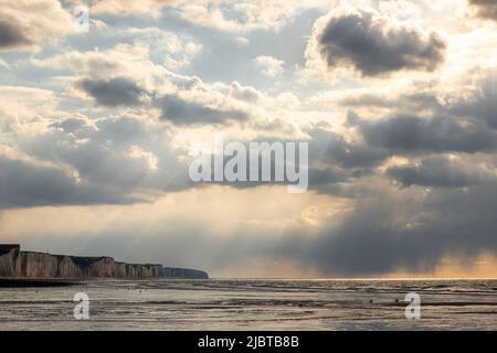 Frankreich, Somme, Ault, ein Frühlingsabend am Strand in Ault während das kalte Wetter die Touristen verschreckt hat und nur die Möwen und ein paar mutige Menschen es wagen, draußen zu bleiben Stockfoto