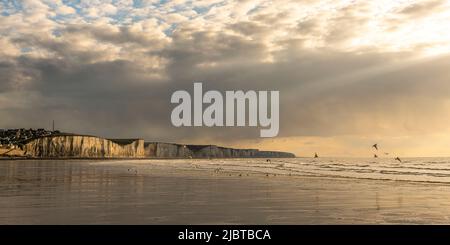 Frankreich, Somme, Ault, ein Frühlingsabend am Strand in Ault während das kalte Wetter die Touristen verschreckt hat und nur die Möwen und ein paar mutige Menschen es wagen, draußen zu bleiben Stockfoto