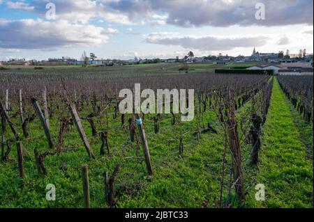 Frankreich, Gironde (33), Saint-Émilion, UNESCO-Weltkulturerbe, Chateau Cadet-Bon, Premier Grand Cru classé, die Weinberge und das Dorf Saint Emilion Stockfoto