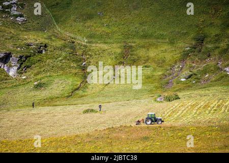 Frankreich, Savoie, Nationalpark Vanoise, Bonneval-sur-Arc, Lenta-Tal, Die Bauern bringen gemähtes Gras auf ein Feld zurück Stockfoto