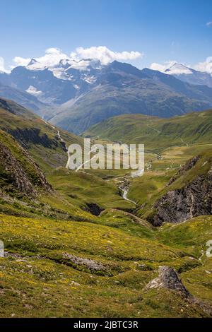 Frankreich, Savoie, Nationalpark Vanoise, Bonneval-sur-Arc, Lenta-Tal an der Straße zu den Grandes Alpes, zwischen dem Col de l'Iseran und Bonneval-sur-Arc. Die Grenzgletscher und Gipfel von Albaron (3637 m) und Pointe de Charbonel (3752 m) im Hintergrund Stockfoto