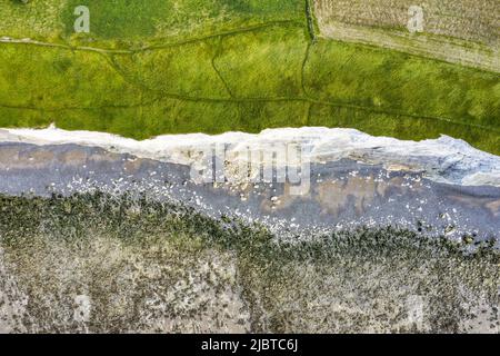 Frankreich, seine Maritime, Cote d'Albatre, Criel-sur-Mer, Kreidefelsen (Luftaufnahme) Stockfoto