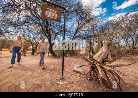 Namibia, Otjozondjupa Region, Grootfontein, der Hoba Meteorit, der sich auf der Hoba West Farm befindet und 1920 von Jacobus BRITS entdeckt wurde, ist der größte bekannte Meteorit (60 Tonnen in einem Stück, 2,7 m lang und 0,9 m hoch) Und der größte bekannte natürliche Eisenblock auf der Erdoberfläche, der Fall des Meteoriten, wird geschätzt, dass er vor weniger als 80.000 Jahren stattgefunden hat Stockfoto