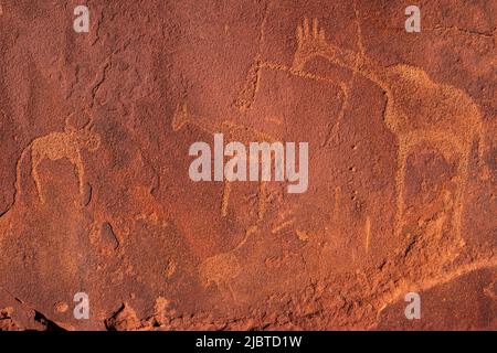 Namibia, Kunene, Damaraland, Khorixas, Twyfelfontein, Die Stätte mit rund 3.000 Petroglyphen aus der Steinzeit, die von der UNESCO zum Weltkulturerbe erklärt wurden, wurde seit mindestens 6.000 Jahren zuerst von Jägern und Sammlern und später von Hirten, den Khoikhoi oder San, bewohnt und ist eine der größten Konzentrationen von Felskunst in Afrika Stockfoto