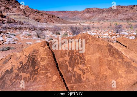 Namibia, Kunene, Damaraland, Khorixas, Twyfelfontein, Die Stätte mit rund 3.000 Petroglyphen aus der Steinzeit, die von der UNESCO zum Weltkulturerbe erklärt wurden, wurde seit mindestens 6.000 Jahren zuerst von Jägern und Sammlern und später von Hirten, den Khoikhoi oder San, bewohnt und ist eine der größten Konzentrationen von Felskunst in Afrika Stockfoto