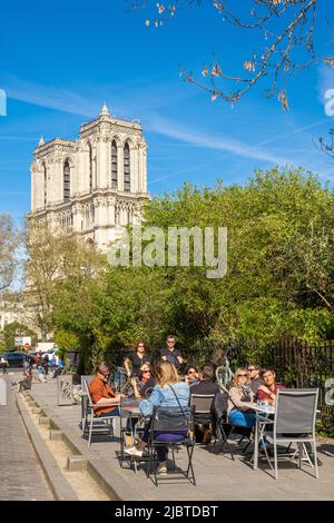 Frankreich, Paris, Rue Saint Julien le Pauvre und Kathedrale Notre Dame de Paris Stockfoto