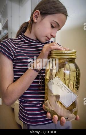 Namibia, Region Khomas, Windhoek, National Museum of Natural History, Department of Ichthyology Collection Stockfoto