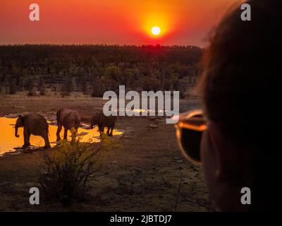 Namibia, Kunene Region, Etosha Nationalpark, Halali Camp, Junges Mädchen, das bei Sonnenuntergang eine Familie afrikanischer Savannenelefanten (Loxodonta africana) am Moringa Wasserloch beobachtet Stockfoto