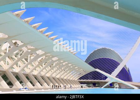 Spanien, Valencia, Stadt der Künste und Wissenschaften (Ciudad de las Artes y las Ciencias), Kulturkomplex, entworfen vom Architekten Santiago Calatrava, Blick auf das Príncipe-Museum (Naturwissenschaftliches Museum) und das Ágora im Hintergrund Stockfoto