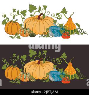 Zwei Abbildungen von Kürbissen für Halloween und Thanksgiving Day auf weißen und dunklen Farben. Hintergrund für Herbstmessen mit Kürbissorten. Stock Vektor