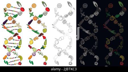 Gesunde Ernährung DNA aus Obst und Gemüse. Abstrakte Darstellung eines gesunden Lebensstils und einer gesunden Ernährung. Vektorgrafik für Cafés. Stock Vektor