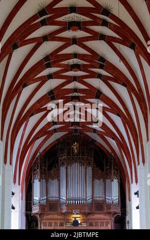 Leipzig, Deutschland. 08.. Juni 2022. Thomas Organist Johannes lang spielt zu Beginn der Kampagne 'Bach für alle! - 500 Minuten von Bach' in der Thomaskirche in Leipzig. Bis spät in die Nacht ist in der Kirche Musik des berühmten Thomaskantors zu hören. Am Donnerstag (09.06.2022) beginnt in Leipzig das Bachfest. Quelle: Hendrik Schmidt/dpa/Alamy Live News Stockfoto