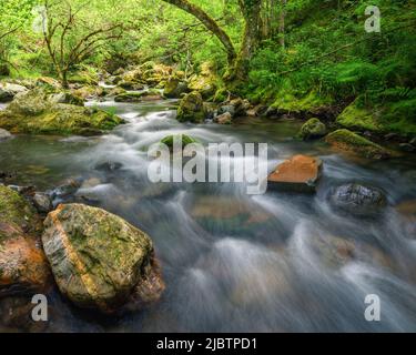 Ein Bach fließt zwischen Gneis und Granitfelsen und Eichenwäldern Ancares Mountain Range in Lugo Galicia Stockfoto