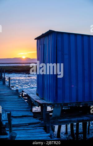 Porto Palafita da Carrasqueira, bekannt als „Cais Palafitico da Carrasqueira“ oder „Carrasqueira Palafitic Pier“, die sich auf Holzstelzen verzahnung Stockfoto