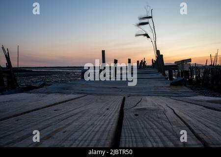 Porto Palafita da Carrasqueira, bekannt als „Cais Palafitico da Carrasqueira“ oder „Carrasqueira Palafitic Pier“, die sich auf Holzstelzen verzahnung Stockfoto