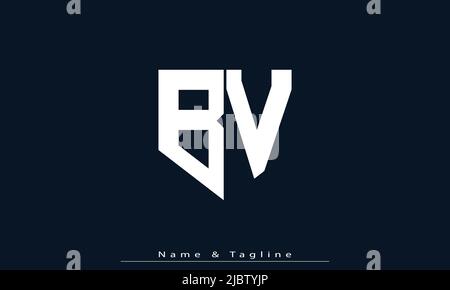 Buchstabenbuchstaben Initialen Monogramm Logo BV, VB Stock Vektor